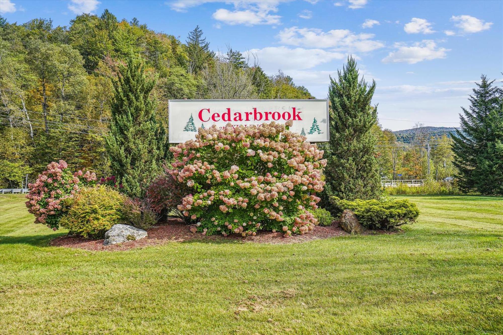 Cedarbrook Deluxe Two Bedroom Suite With Outdoor Heated Pool 10708 Killington Exteriör bild